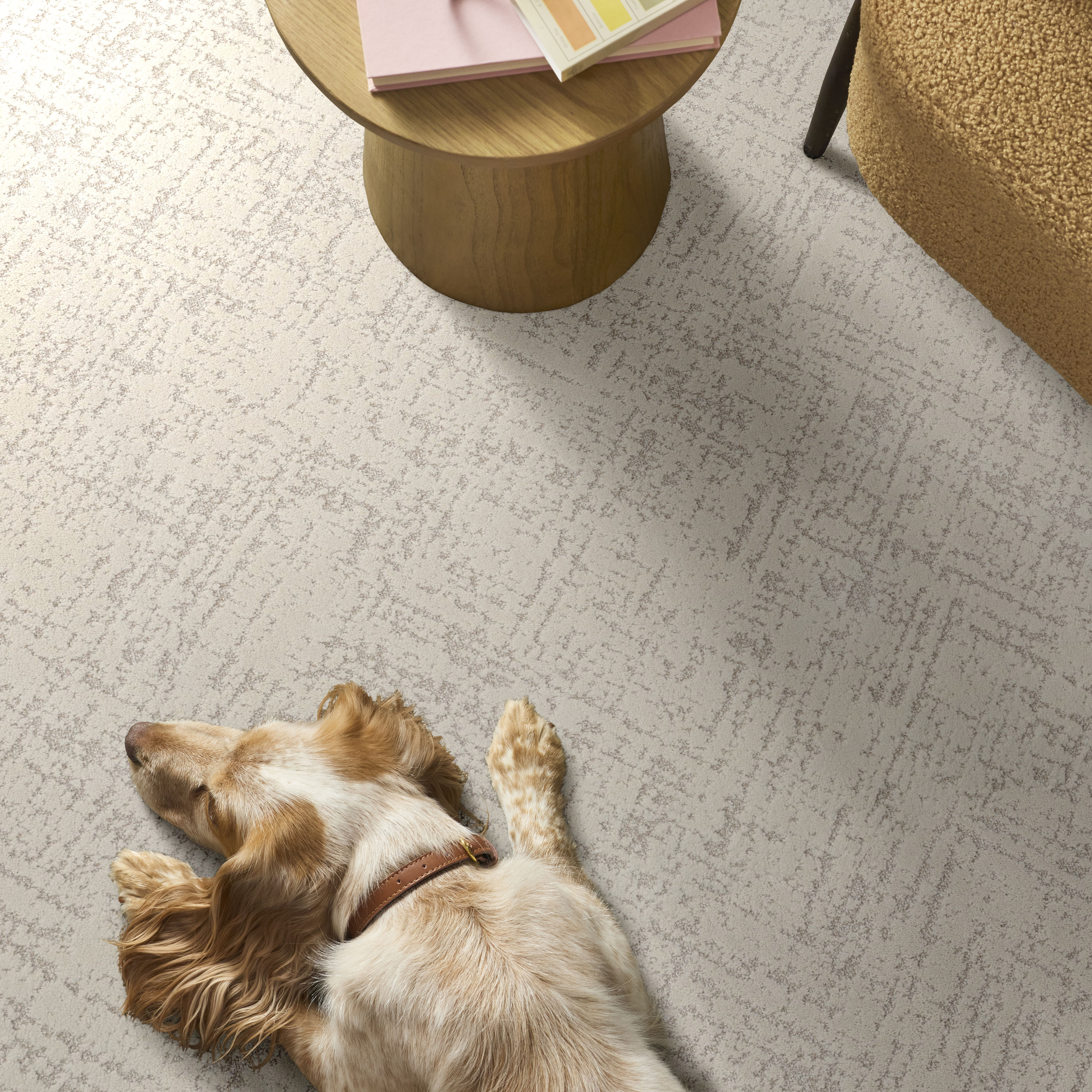 Sincere Focus - Classic Pearl Carpet | Shaw Floors